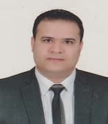 consultant